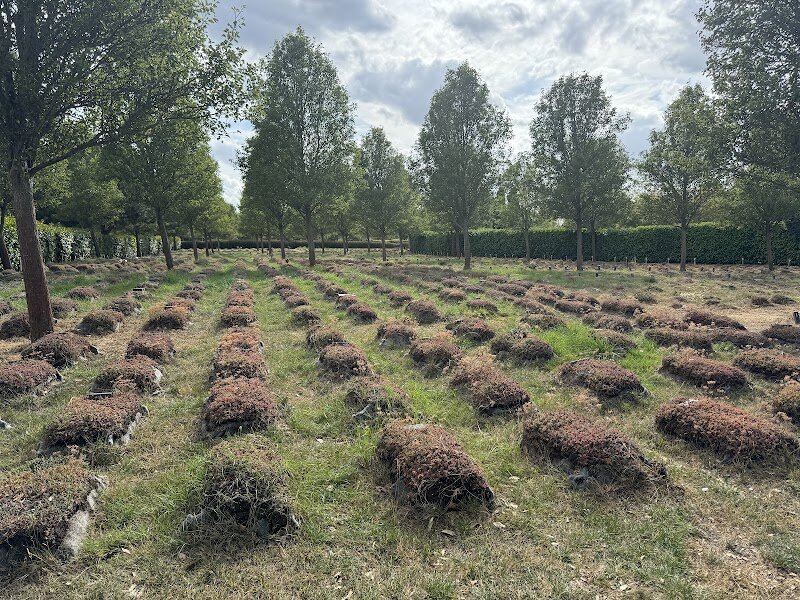 Gardens of Peace ® Muslim Cemetery (Elmbridge Road) - Nestled on Elmbridge Road in London, **Gardens of Peace® Muslim Cemetery** offers a serene and dignified sanctuary for reflection, remembrance, and unity. Founded in 2002 as the first dedicated Muslim cemetery in the UK, this tranquil space was created to serve the community’s need for faith-appropriate burials—a vision that has blossomed into a place of solace for families and visitors alike. What sets Gardens of Peace apart is its commitment to equality and simplicity: each grave is marked by a modest marble slab, and all are aligned toward Mecca, reflecting the Islamic tradition of humility and collective dignity in death. The grounds themselves are beautifully landscaped, featuring fig and olive trees—both mentioned in the Qur’an—alongside immaculate lawns and a peaceful Ottoman-inspired courtyard. Visitors can explore thoughtfully segmented sections for children, adults, and even spaces dedicated to miscarriages and stillbirths, highlighting the cemetery’s compassionate ethos. The atmosphere invites quiet contemplation, making it a meaningful destination for families and curious travelers seeking to understand London’s rich cultural tapestry. As a registered charity, Gardens of Peace stands as a testament to community spirit, welcoming all who seek peace and connection in a place shaped by tradition, respect, and hope for the future.