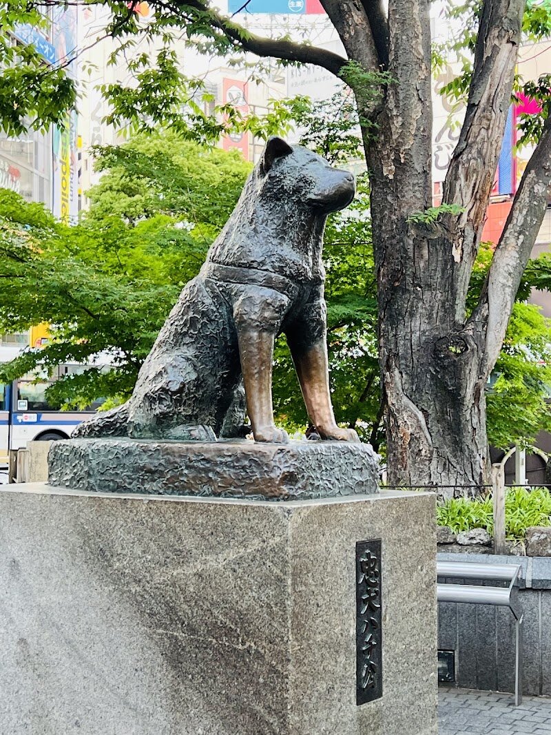 Hachiko Statue - Nestled just outside Tokyo’s bustling Shibuya Station, the **Hachiko Statue** is far more than a meeting point—it’s a heartfelt tribute to one of Japan’s most beloved stories of loyalty and friendship. Erected in honor of Hachiko, the faithful Akita dog who waited every evening for his late owner for nearly a decade, this bronze figure has captured the imagination of generations. The tale began in the 1920s, when Hachiko would greet Professor Ueno after work each day; even after the professor’s sudden passing, Hachiko returned to the same spot, steadfast and hopeful, for almost ten years. Families and curious travelers will find themselves moved by the statue’s powerful symbolism—a testament to devotion that transcends time. Children are often fascinated by the story, while adults reflect on its deeper meaning. Visitors can experience a sense of connection as they gather, snap photos, and touch the statue, joining thousands who come each year to honor Hachiko’s unwavering spirit. The statue’s enduring presence, celebrated during major anniversaries and depicted in films, invites everyone to share in a uniquely Japanese legend that continues to inspire and unite people from all walks of life.