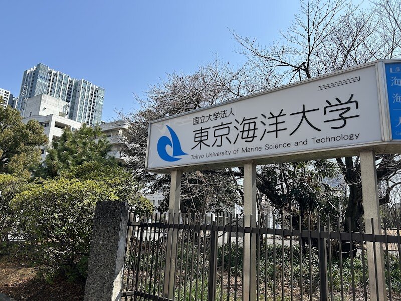 Tokyokaiyo University - Tokyokaiyo University, officially known as the Tokyo University of Marine Science and Technology, offers families and curious travelers a fascinating glimpse into Japan’s deep connection with the sea. Formed in 2003 by merging the historic Tokyo University of Mercantile Marine (founded in 1875) and the Tokyo University of Fisheries (founded in 1888), the university stands as a testament to Japan’s maritime heritage and innovation. Visitors can explore campuses that blend tradition with cutting-edge marine research, where the spirit of adventure and discovery is palpable. Imagine walking the halls where pioneering navigators and fisheries scientists trained to chart new waters and sustain ocean life. The university’s museums and research centers often showcase interactive exhibits on marine technology, ocean exploration, and sustainable fisheries, making it an engaging educational experience for children and adults alike. Set against the vibrant backdrop of Tokyo, Tokyokaiyo University invites you to dive into the world of ocean sciences—whether you’re fascinated by historic ships, marine biology, or the latest in ocean engineering. It’s a unique destination where Japan’s past and future on the water come alive, promising inspiration and discovery for every curious mind.