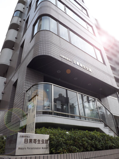 Meguro Parasitological Museum - Step into the **Meguro Parasitological Museum** in Tokyo, and you’ll discover a world both fascinating and delightfully eerie—a one-of-a-kind destination sure to intrigue families and curious travelers alike. Founded in 1953 by Dr. Satoru Kamegai, a physician inspired by postwar Japan’s struggles with parasitic diseases, this museum is the only institution in the world entirely dedicated to the science of parasites. Spread across two floors, the exhibits offer an up-close look at over 300 preserved specimens from a research collection of 60,000. The first floor introduces the *astonishing diversity of parasites*, complete with educational displays and videos. Upstairs, visitors can marvel (or shudder) at parasites that affect humans—including the museum’s star attraction: an **8.8-meter-long tapeworm**, displayed alongside a rope of the same length for dramatic effect. Beyond the “ick” factor, the museum provides a captivating, educational experience that demystifies these misunderstood creatures and their impact on health and history. A quirky gift shop awaits at the end, offering unique souvenirs like acrylic-encased parasites—a perfect memento from one of Tokyo’s most unusual and memorable attractions.